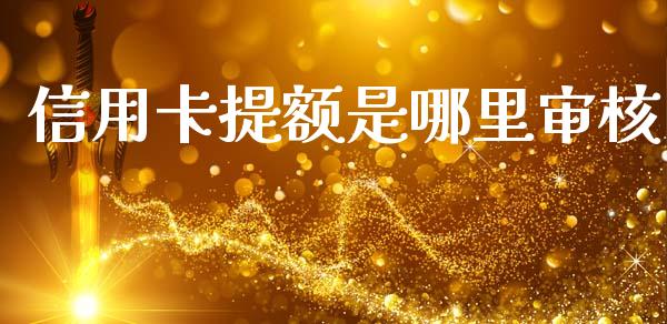 信用卡提额是哪里审核_https://www.fsyjjx.cn_问财精选_第1张