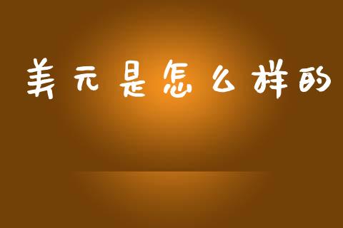 美元是怎么样的_https://www.fsyjjx.cn_期货资讯_第1张