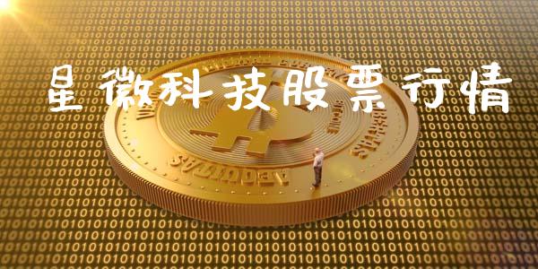 星徽科技股票行情_https://www.fsyjjx.cn_股票指导_第1张