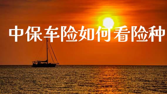 中保车险如何看险种_https://www.fsyjjx.cn_期货在线_第1张