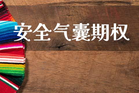 安全气囊期权_https://www.fsyjjx.cn_期货研报_第1张