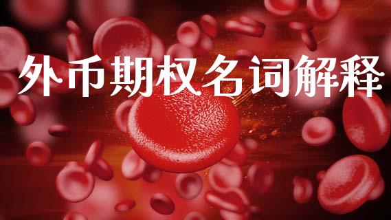 外币期权名词解释_https://www.fsyjjx.cn_股票指导_第1张