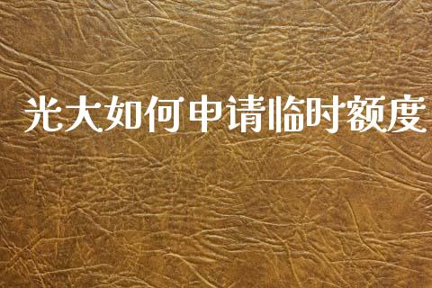 光大如何申请临时额度_https://www.fsyjjx.cn_期货研报_第1张