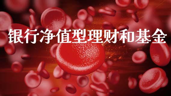 银行净值型理财和基金_https://www.fsyjjx.cn_问财精选_第1张