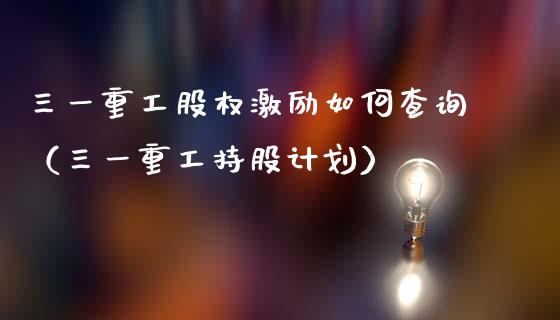 三一重工股权激励如何查询（三一重工持股计划）_https://www.fsyjjx.cn_股票指导_第1张