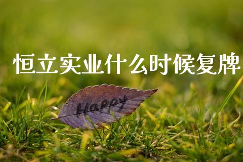 恒立实业什么时候复牌_https://www.fsyjjx.cn_问财精选_第1张