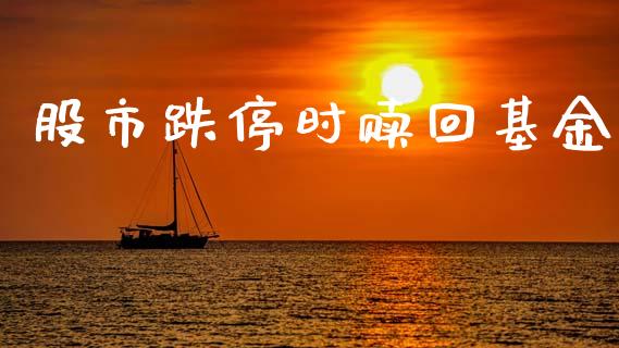 股市跌停时赎回基金_https://www.fsyjjx.cn_问财精选_第1张