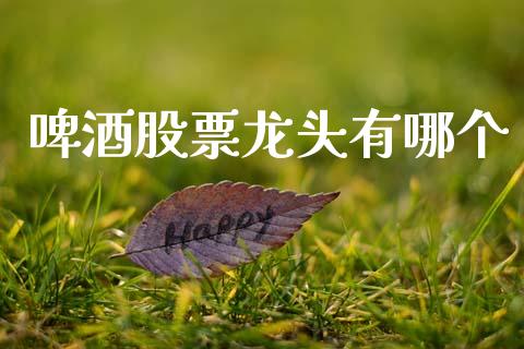 啤酒股票龙头有哪个_https://www.fsyjjx.cn_股票指导_第1张
