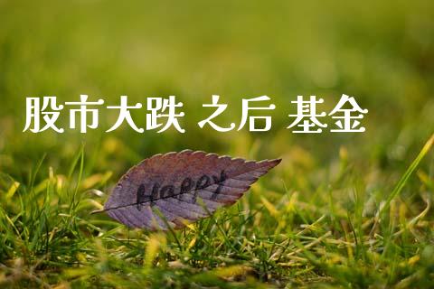 股市大跌 之后 基金_https://www.fsyjjx.cn_理财资讯_第1张