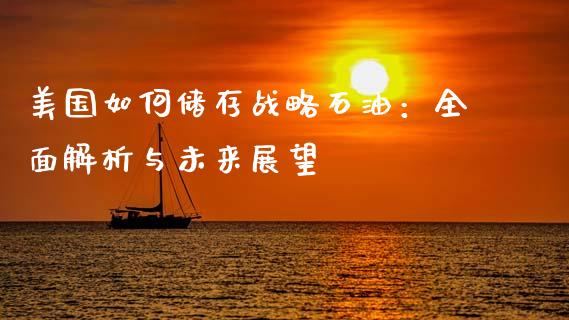 美国如何储存战略石油：全面解析与未来展望_https://www.fsyjjx.cn_期货研报_第1张