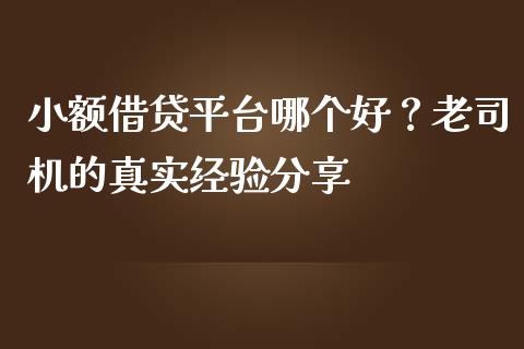 小额借贷平台哪个好？老司机的真实经验分享_https://www.fsyjjx.cn_股市分析_第1张