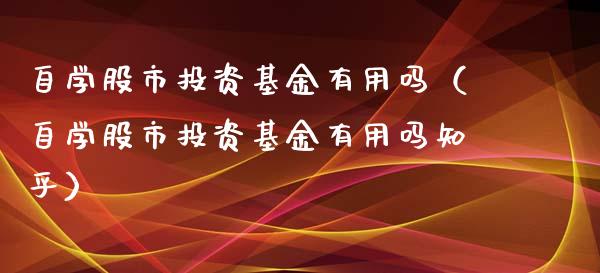 自学股市投资基金有用吗（自学股市投资基金有用吗知乎）_https://www.fsyjjx.cn_理财资讯_第1张