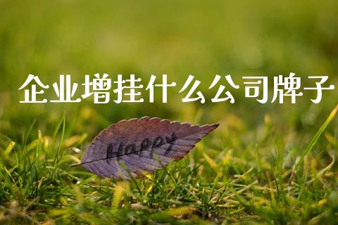 企业增挂什么公司牌子_https://www.fsyjjx.cn_问财精选_第1张