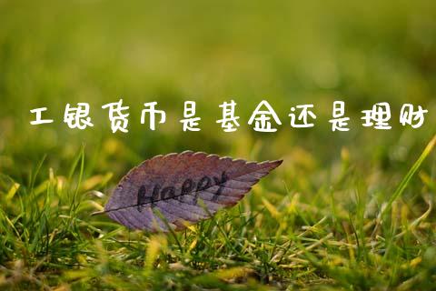 工银货币是基金还是理财_https://www.fsyjjx.cn_问财精选_第1张