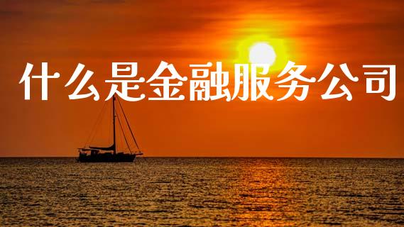 什么是金融服务公司_https://www.fsyjjx.cn_期货在线_第1张
