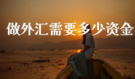 做外汇需要多少资金_https://www.fsyjjx.cn_问财精选_第1张