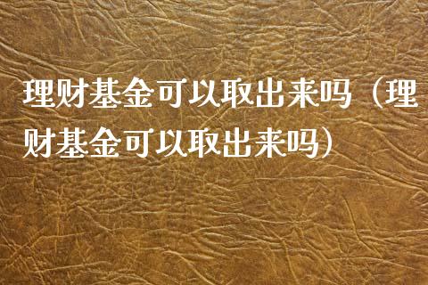 理财基金可以取出来吗（理财基金可以取出来吗）_https://www.fsyjjx.cn_理财资讯_第1张