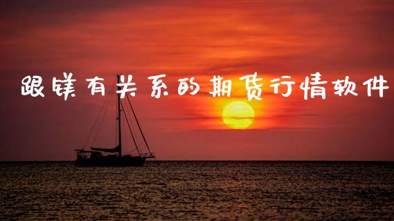 跟镁有关系的期货行情软件_https://www.fsyjjx.cn_期货研报_第1张
