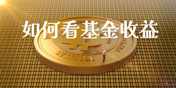 如何看基金收益_https://www.fsyjjx.cn_问财精选_第1张