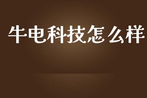 牛电科技怎么样_https://www.fsyjjx.cn_股票指导_第1张