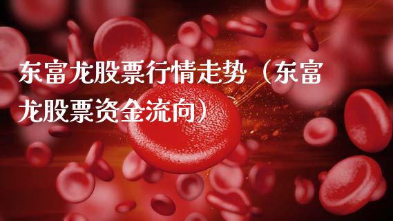 东富龙股票行情走势（东富龙股票资金流向）_https://www.fsyjjx.cn_股市分析_第1张