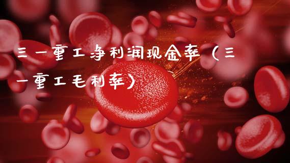 三一重工净利润现金率（三一重工毛利率）_https://www.fsyjjx.cn_股市分析_第1张