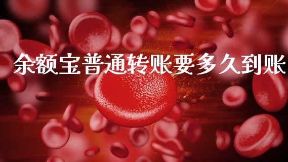 余额宝普通转账要多久到账_https://www.fsyjjx.cn_股指期货_第1张