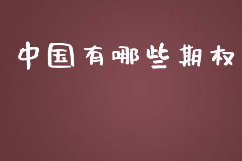 中国有哪些期权_https://www.fsyjjx.cn_期货在线_第1张