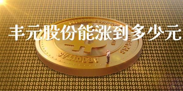 丰元股份能涨到多少元_https://www.fsyjjx.cn_股市分析_第1张