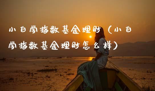 小白学指数基金理财（小白学指数基金理财怎么样）_https://www.fsyjjx.cn_理财资讯_第1张