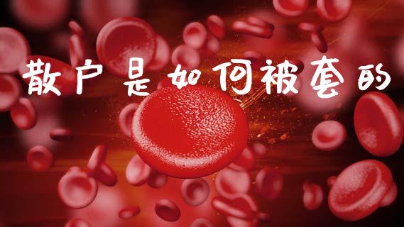 散户是如何被套的_https://www.fsyjjx.cn_股指期货_第1张