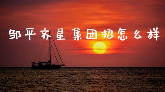 邹平齐星集团招怎么样_https://www.fsyjjx.cn_问财精选_第1张