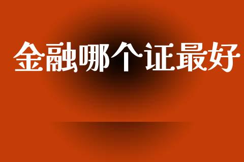 金融哪个证最好_https://www.fsyjjx.cn_问财精选_第1张