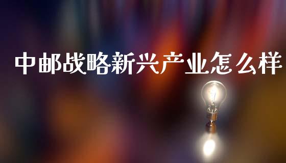 中邮战略新兴产业怎么样_https://www.fsyjjx.cn_股票指导_第1张