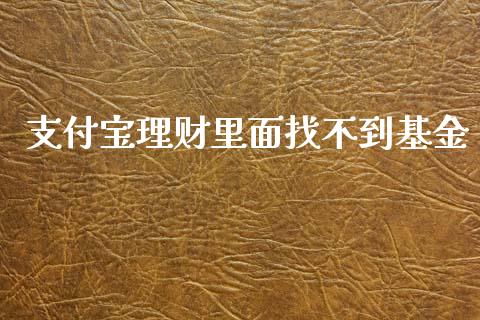 支付宝理财里面找不到基金_https://www.fsyjjx.cn_问财精选_第1张