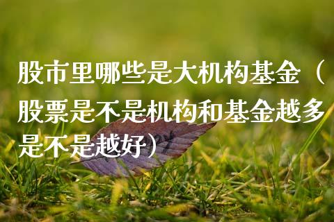 股市里哪些是大机构基金（股票是不是机构和基金越多是不是越好）_https://www.fsyjjx.cn_问财精选_第1张
