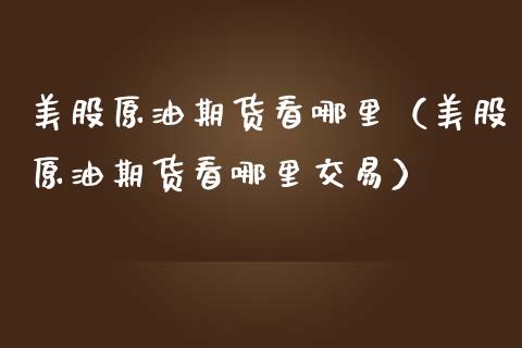 美股原油期货看哪里（美股原油期货看哪里交易）_https://www.fsyjjx.cn_期货研报_第1张