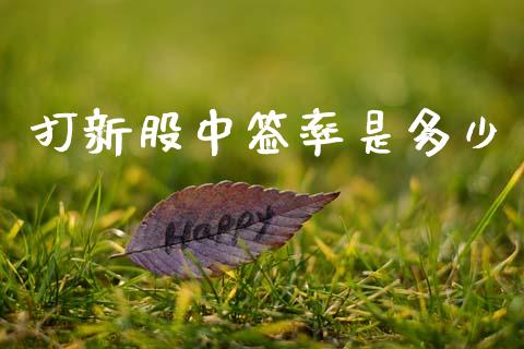 打新股中签率是多少_https://www.fsyjjx.cn_理财资讯_第1张