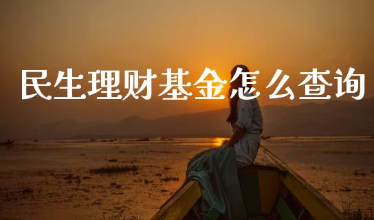 民生理财基金怎么查询_https://www.fsyjjx.cn_问财精选_第1张