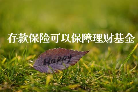 存款保险可以保障理财基金_https://www.fsyjjx.cn_问财精选_第1张