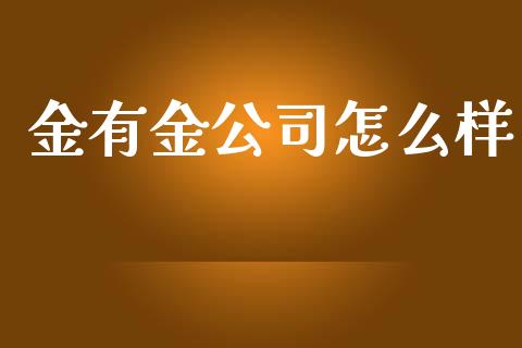 金有金公司怎么样_https://www.fsyjjx.cn_问财精选_第1张