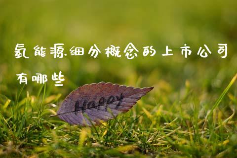 氢能源细分概念的上市公司有哪些_https://www.fsyjjx.cn_股市分析_第1张
