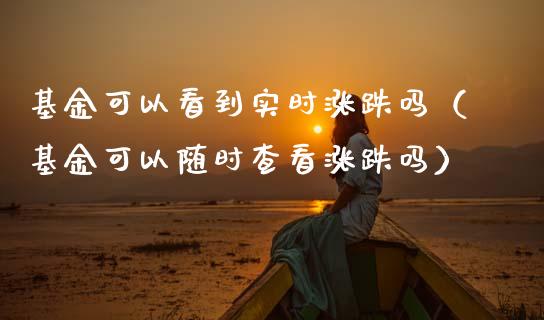 基金可以看到实时涨跌吗（基金可以随时查看涨跌吗）_https://www.fsyjjx.cn_理财资讯_第1张