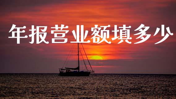 年报营业额填多少_https://www.fsyjjx.cn_股指期货_第1张