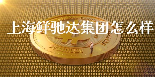 上海鲜驰达集团怎么样_https://www.fsyjjx.cn_股票指导_第1张