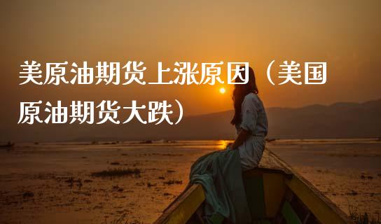 美原油期货上涨原因（美国原油期货大跌）_https://www.fsyjjx.cn_期货资讯_第1张
