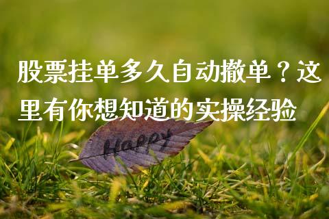 股票挂单多久自动撤单？这里有你想知道的实操经验_https://www.fsyjjx.cn_期货在线_第1张