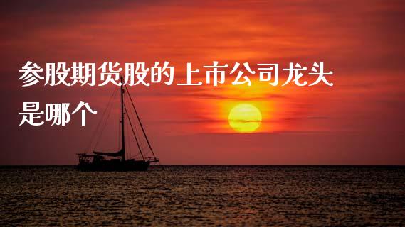 参股期货股的上市公司龙头是哪个_https://www.fsyjjx.cn_股指期货_第1张