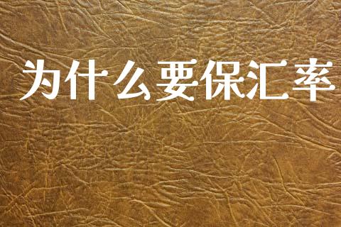 为什么要保汇率_https://www.fsyjjx.cn_股指期货_第1张