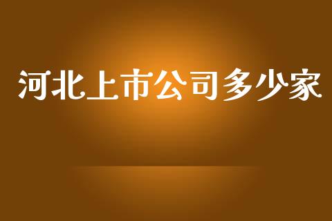 河北上市公司多少家_https://www.fsyjjx.cn_理财资讯_第1张